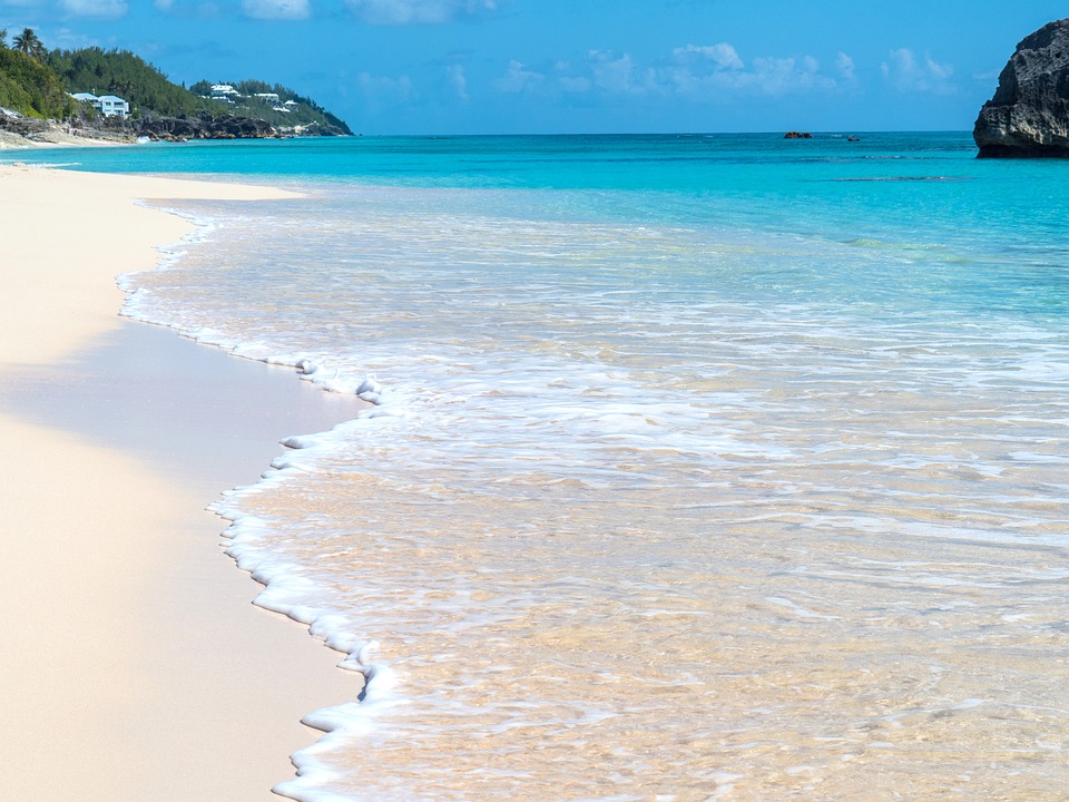 Opportunities in Bermuda